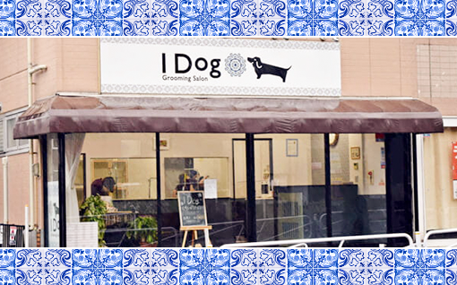 I Dogについてのイメージ