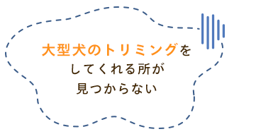 大型犬のトリミングをしてくれる所が見つからない